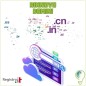 Registrazione / Rinnovo Domini/o